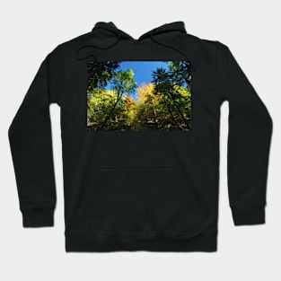 Beskidy mountains Hoodie